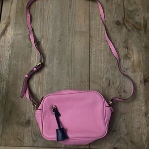 J. Crew Pink Leather Crossbody Bag